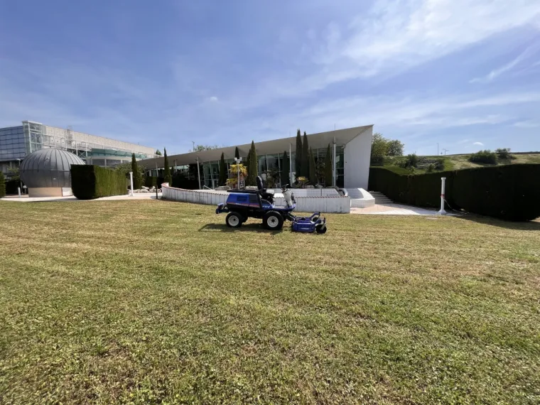 Tonte des pelouses, Vienne, Tree Service