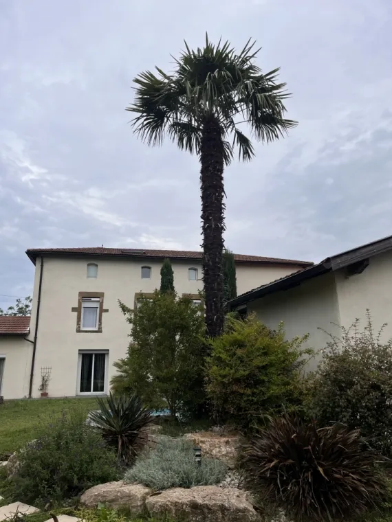 Après