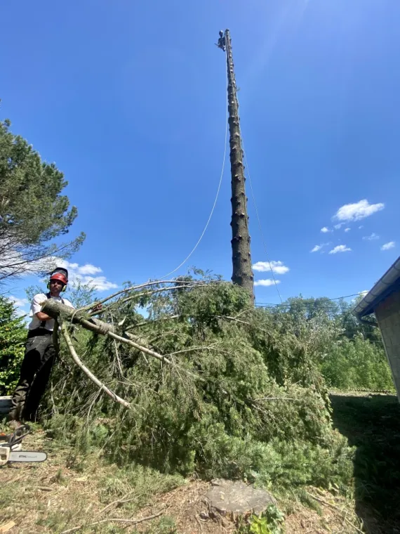 Abattage d'un arbre gênant à Cheyssieu, Vienne, Tree Service